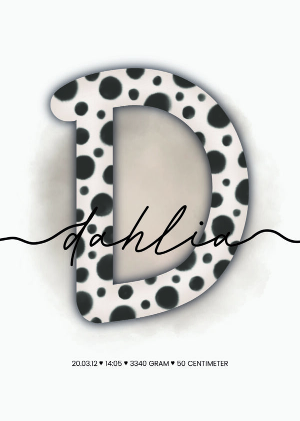 Tiny Little D - Bild 3